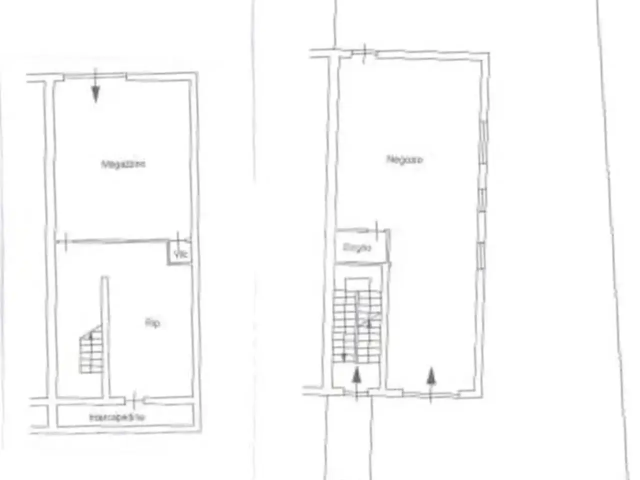 Negozio in Via della Madonnella 19, Riano, {3} - Planimetria 1