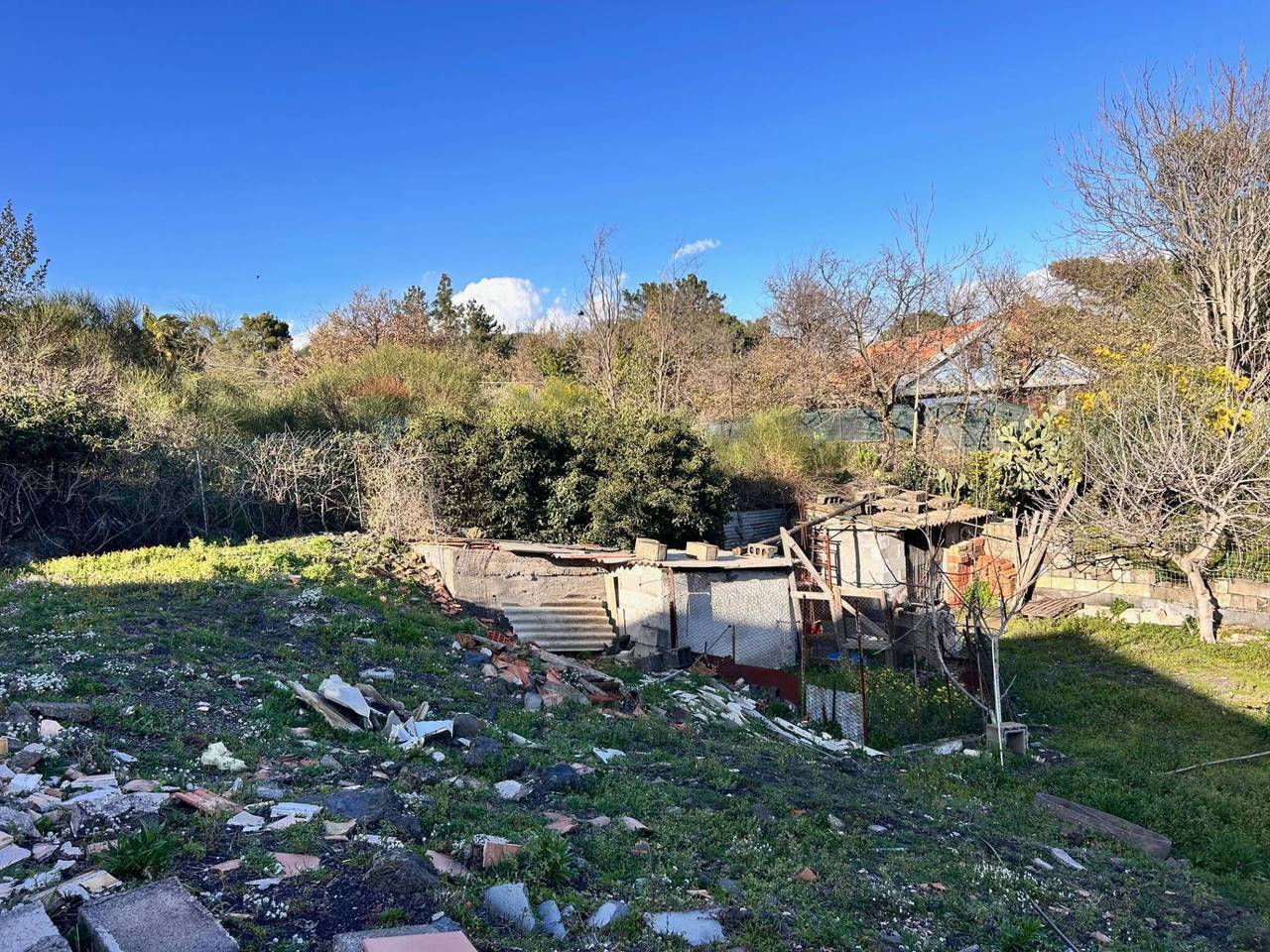 immagine annuncio 4 di 7