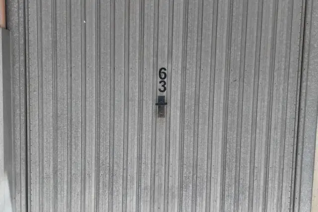 insertion image
