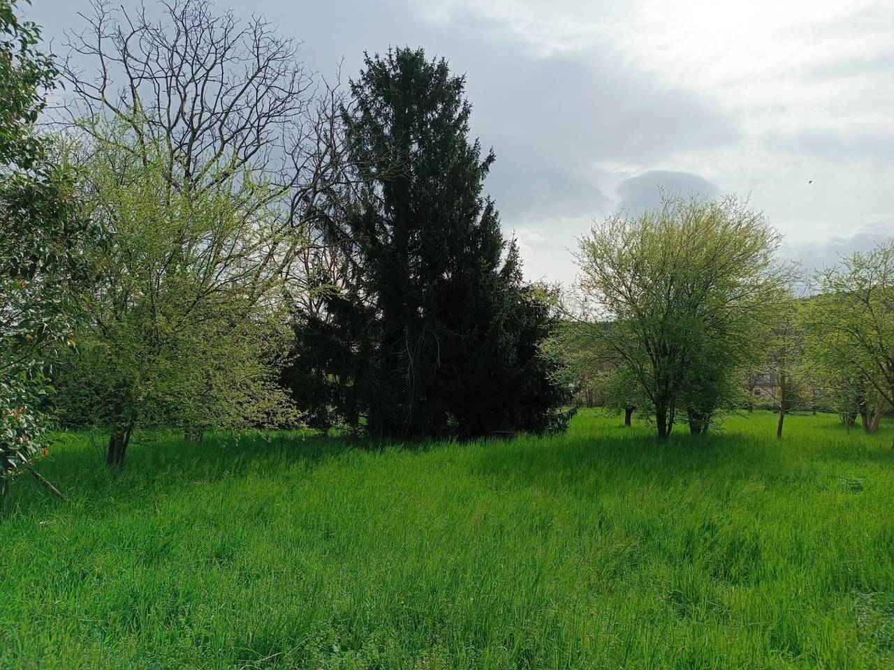 immagine annuncio 2 di 3