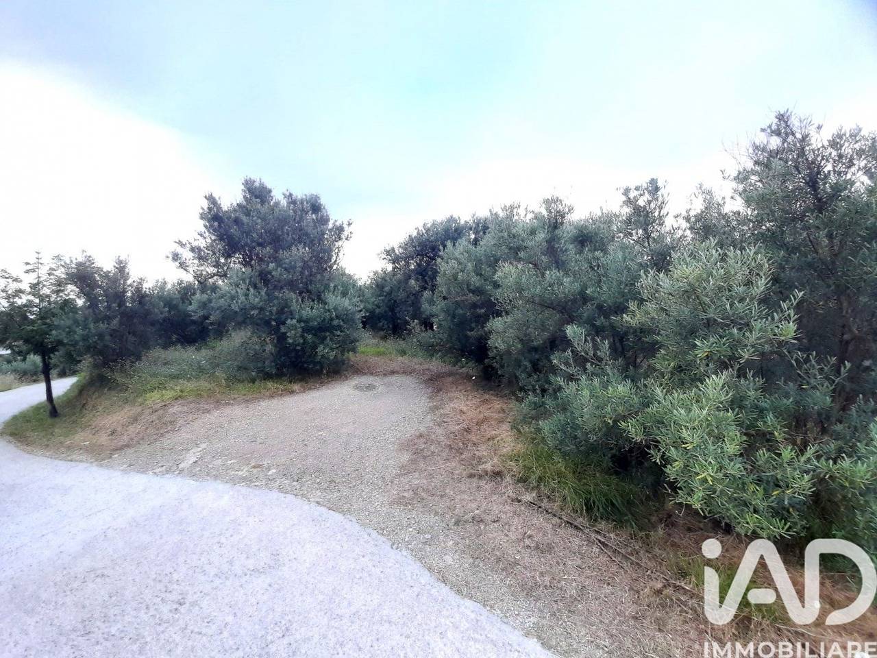 immagine annuncio 5 di 10