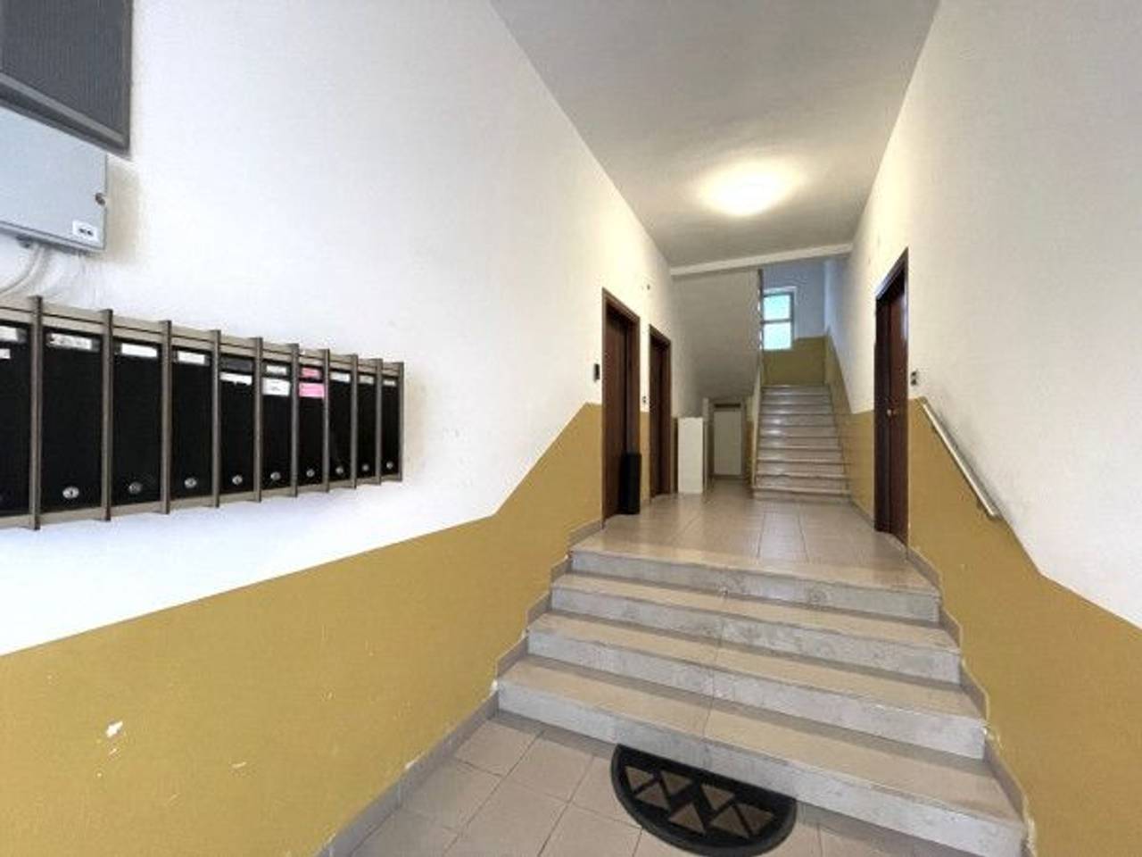 immagine annuncio 3 di 14