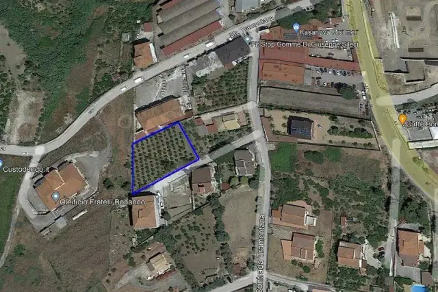 insertion image