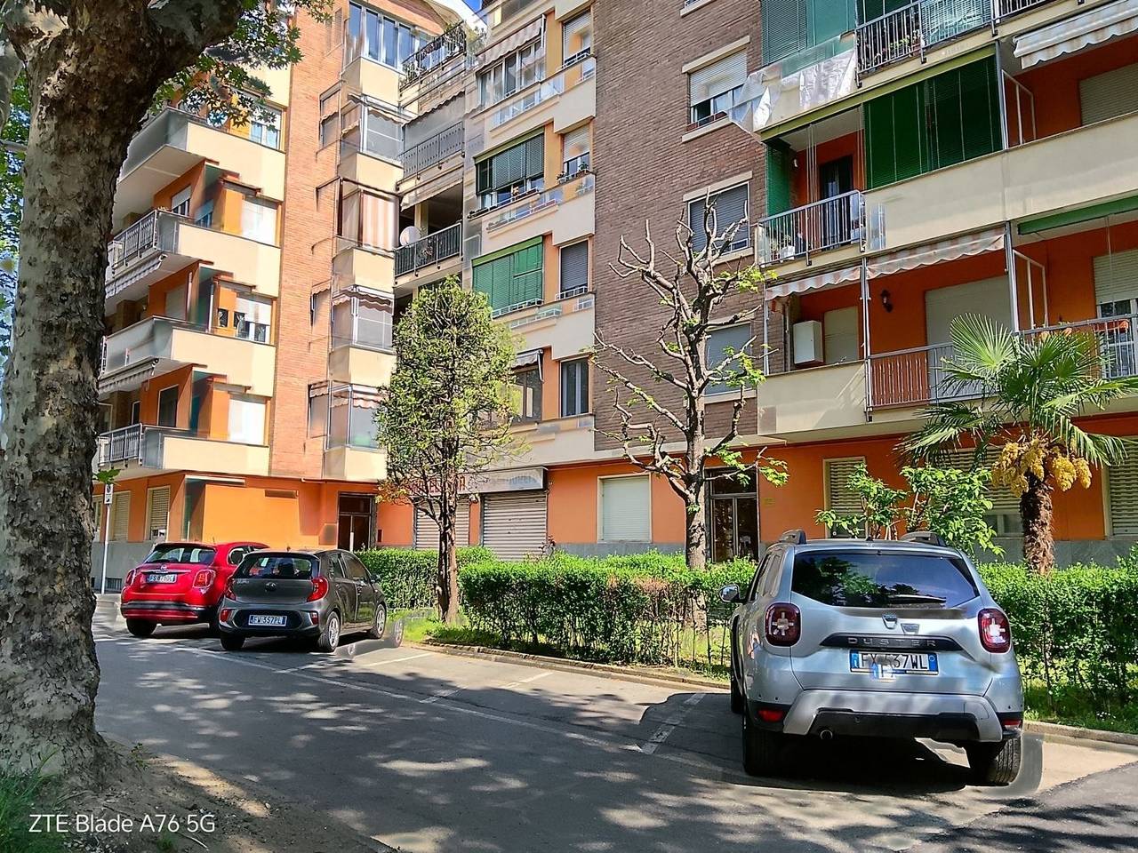 immagine annuncio 1 di 10