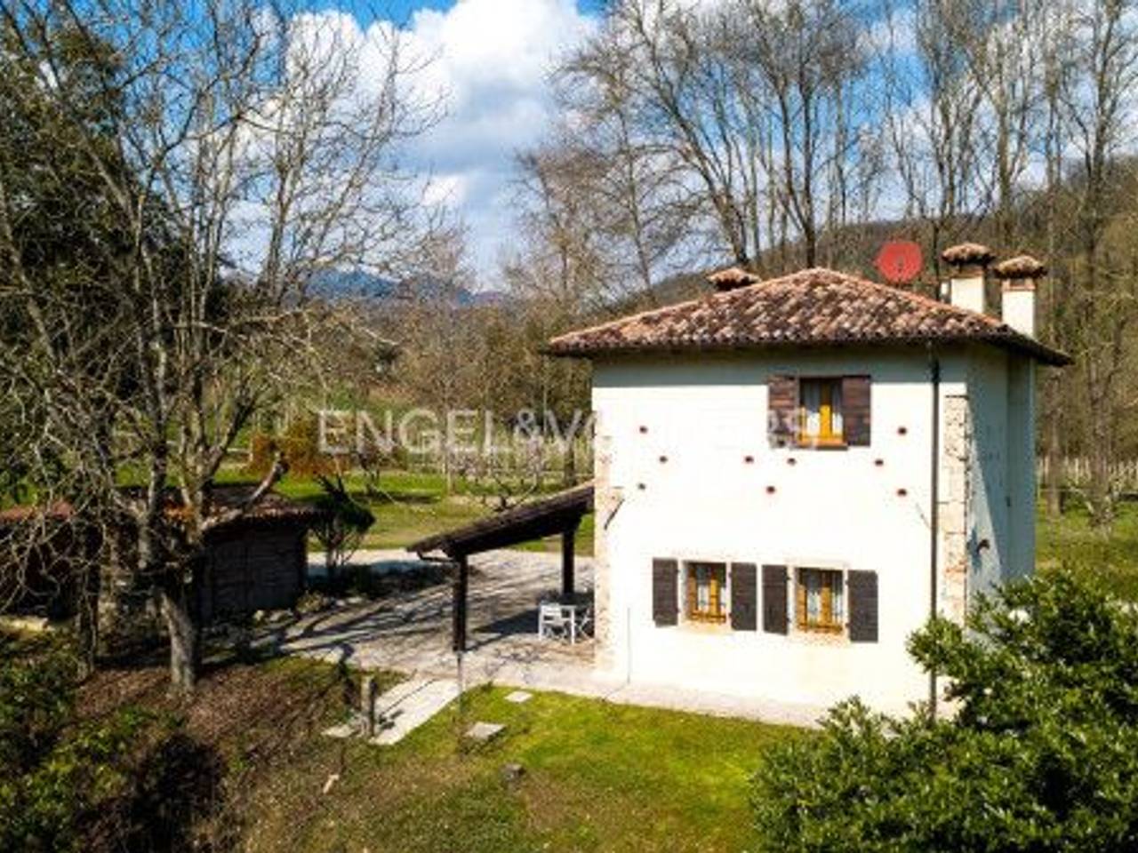 immagine annuncio 12 di 15