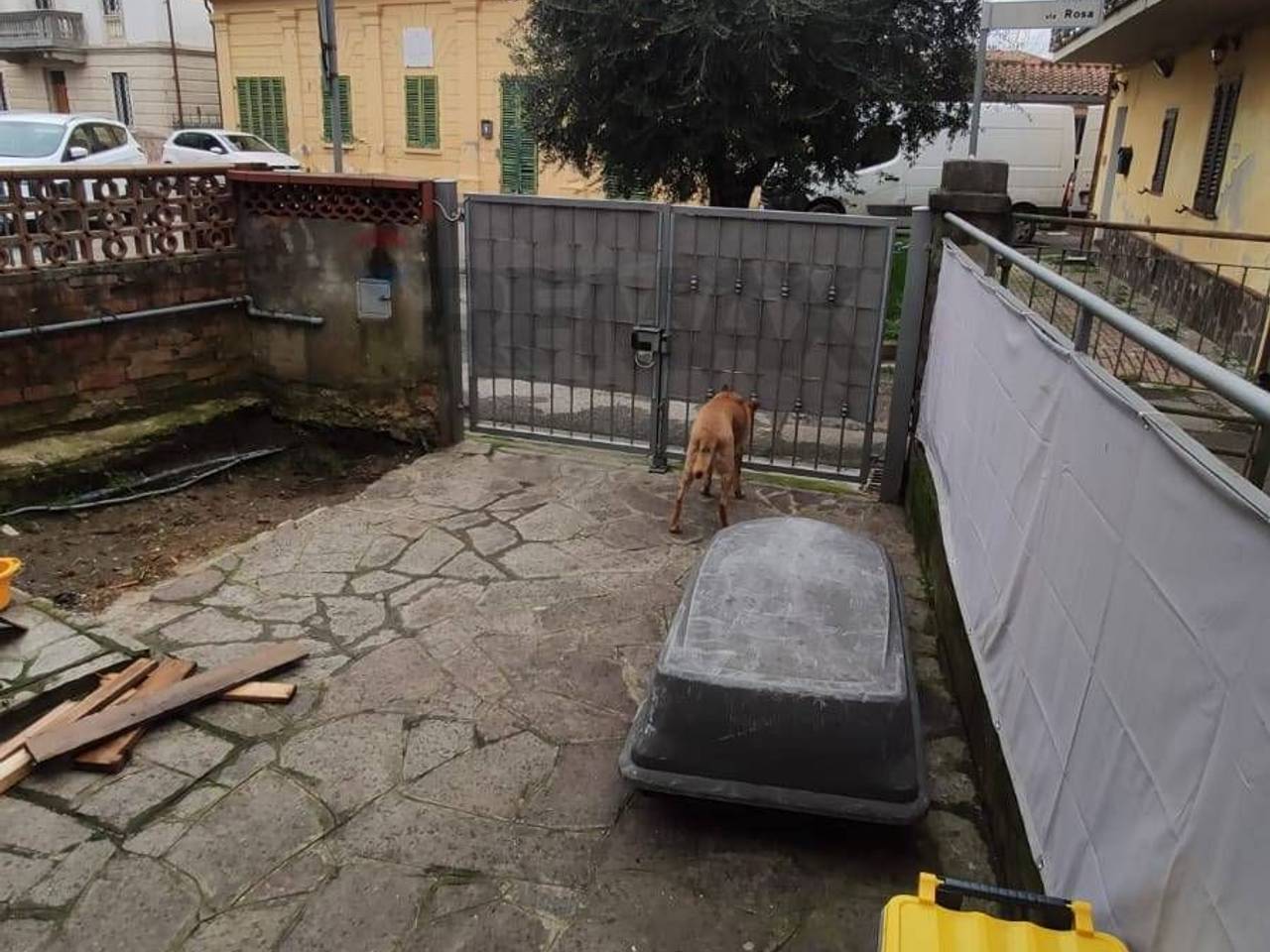 immagine annuncio 12 di 15