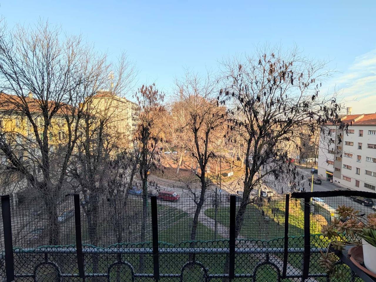 immagine annuncio 10 di 13