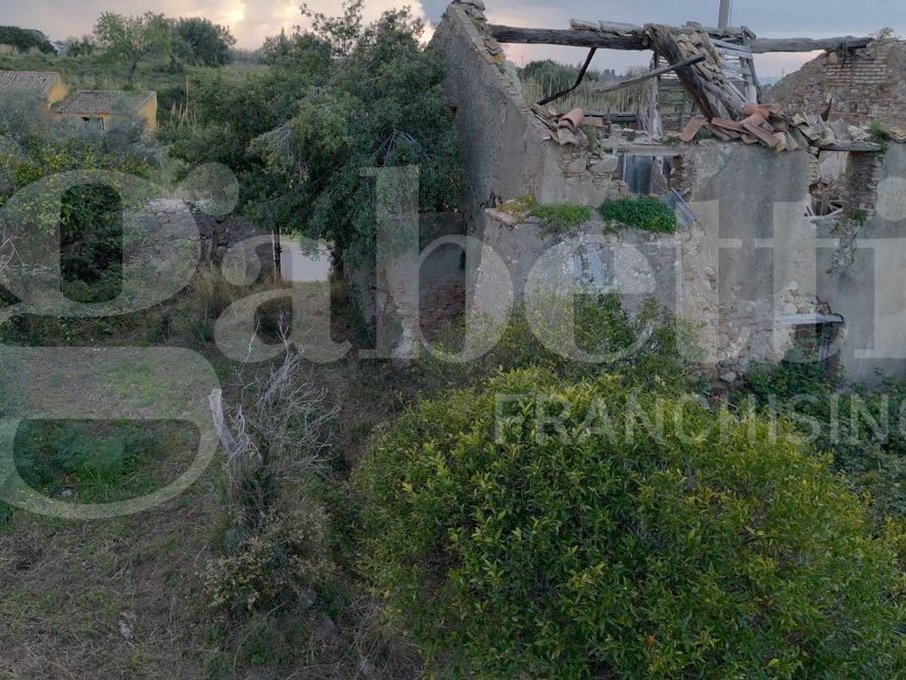 immagine annuncio 3 di 7