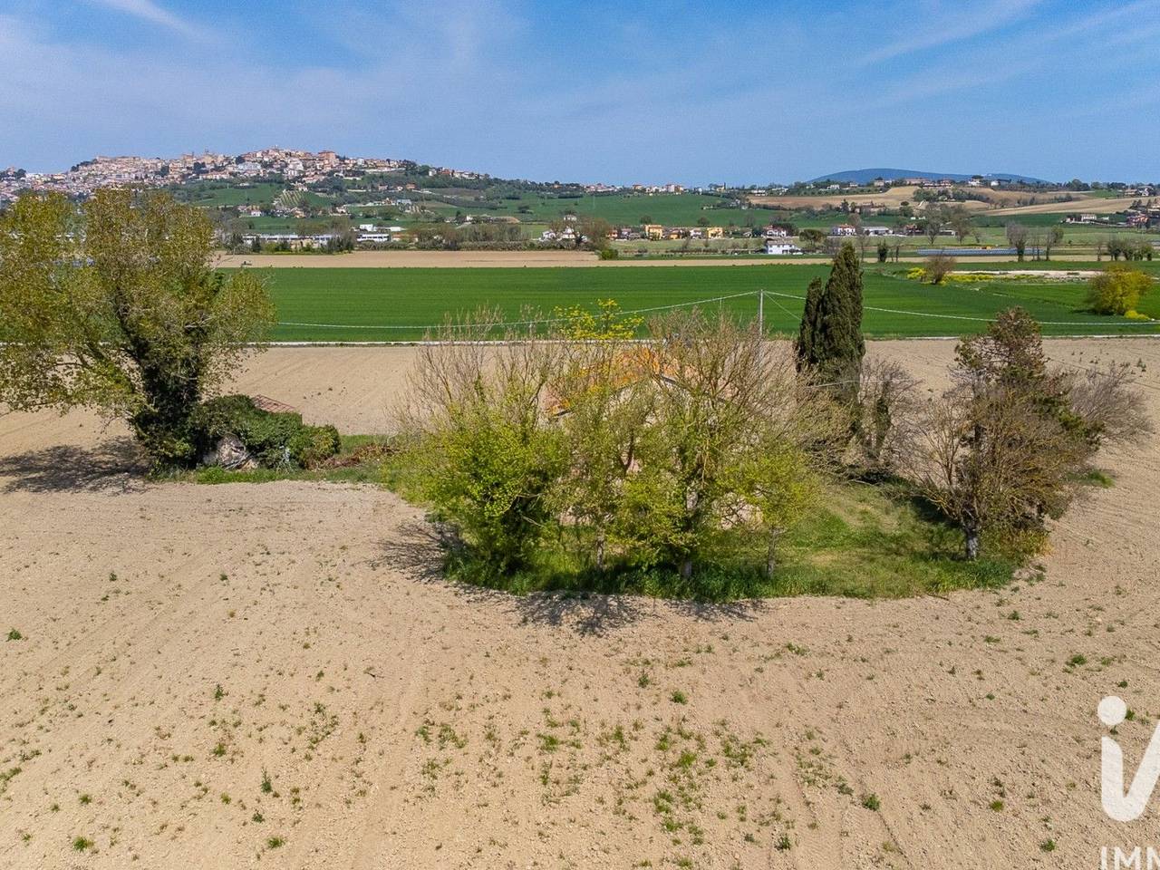 immagine annuncio 4 di 14