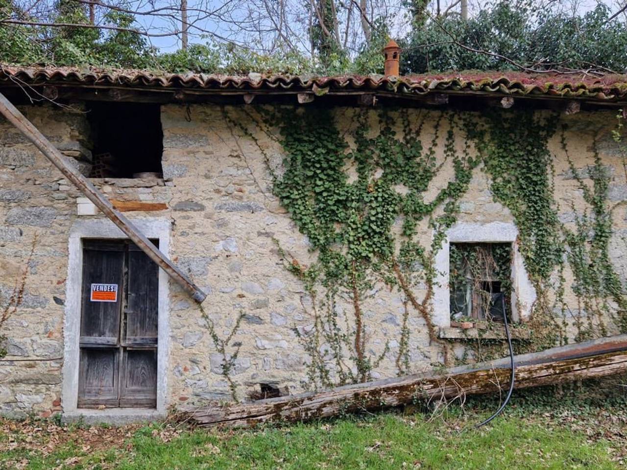immagine annuncio 1 di 14