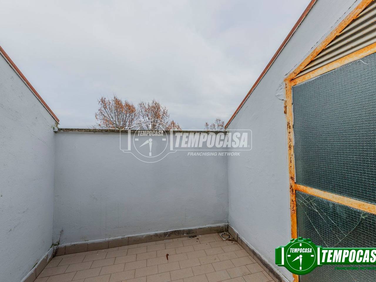 immagine annuncio 6 di 14