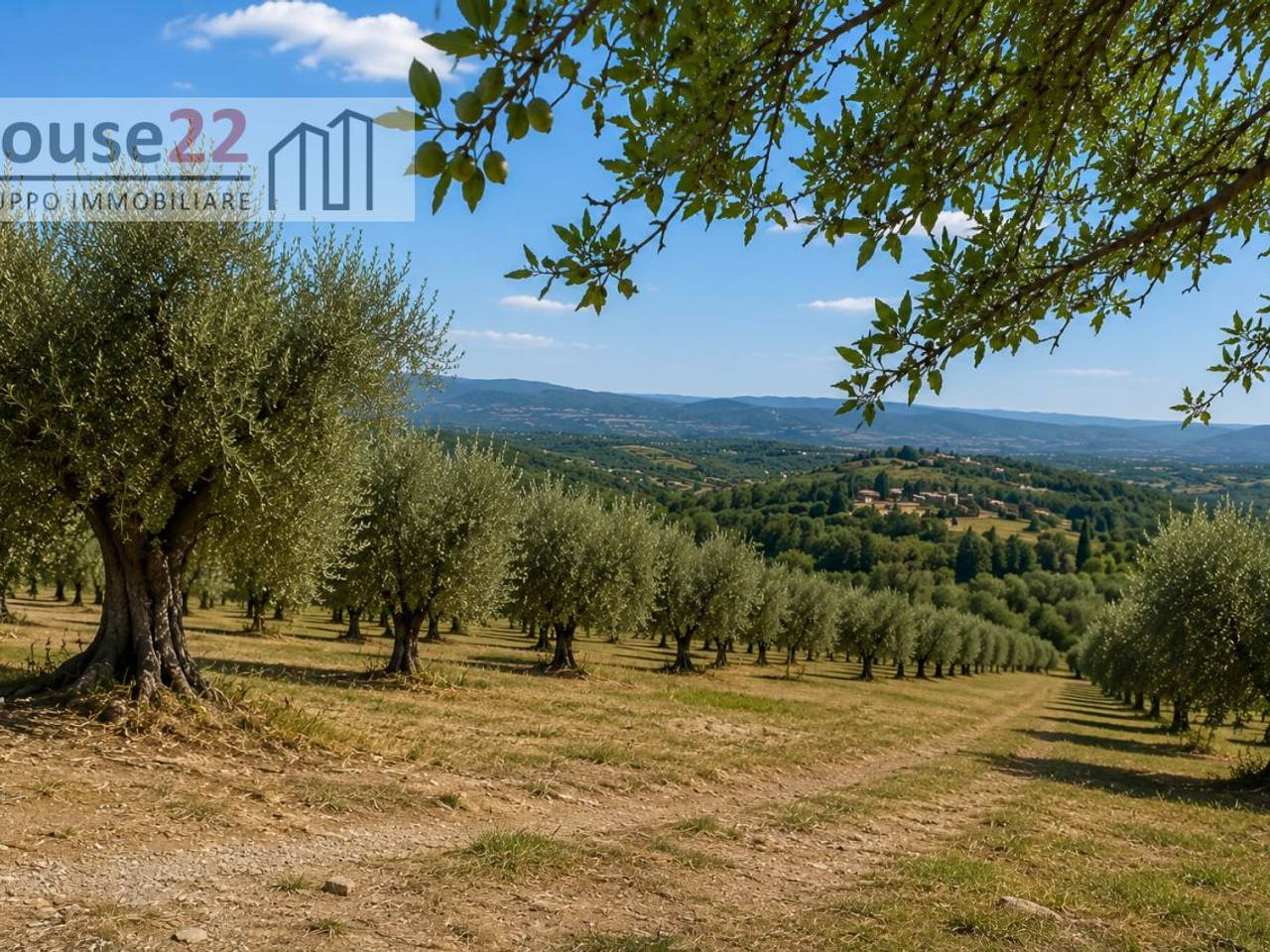immagine annuncio 4 di 8