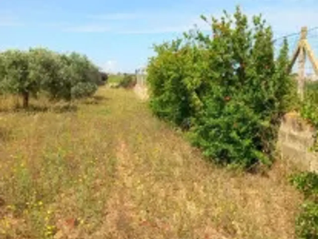 Magazzino in Contrada Bambina, Marsala, {3} - Foto 2