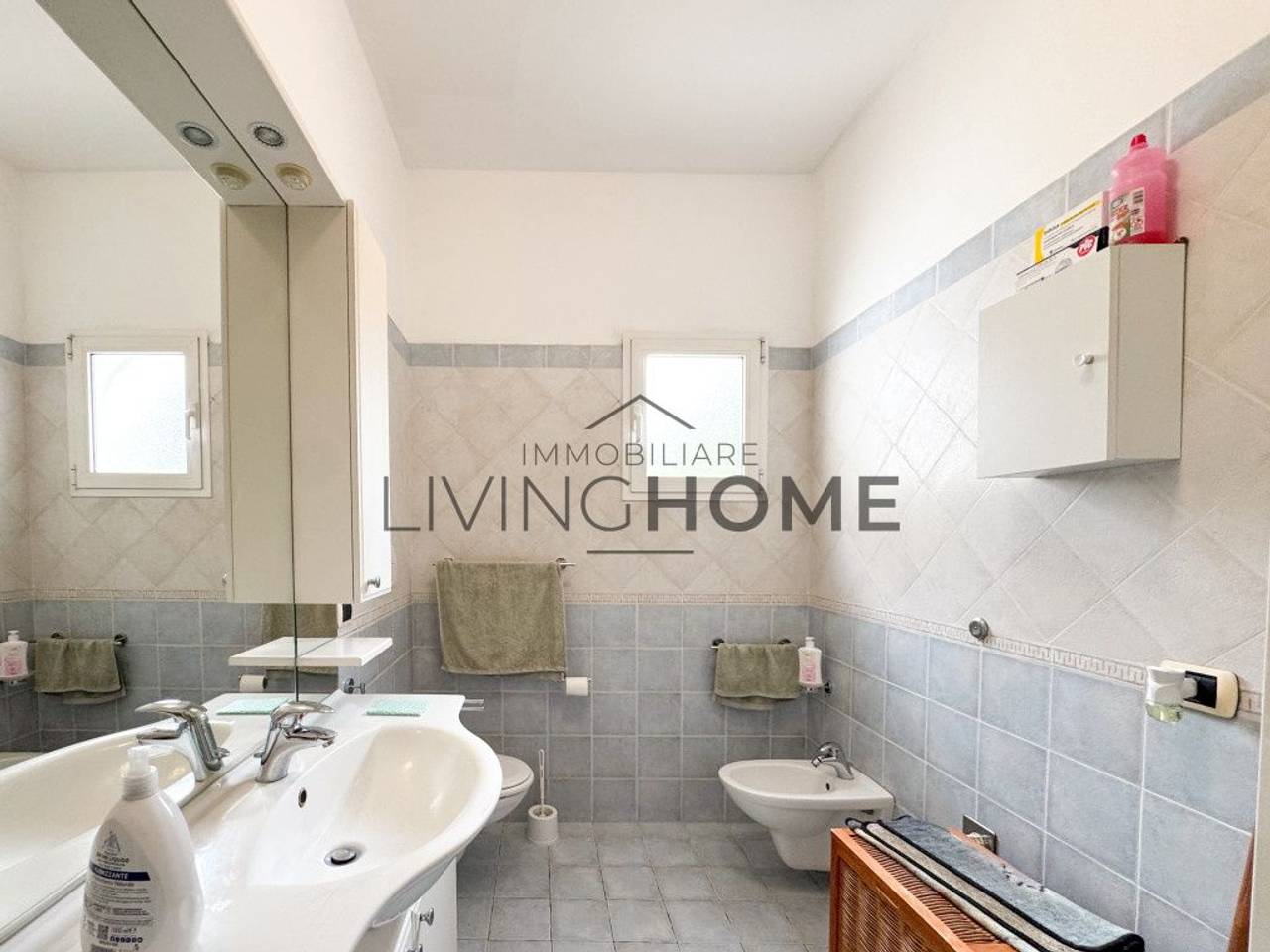 immagine annuncio 11 di 14