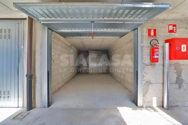 insertion image