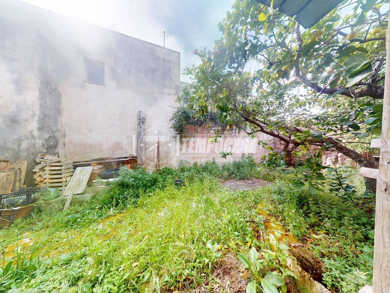 immagine annuncio 10 di 14