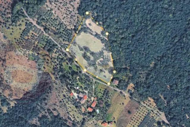 insertion image