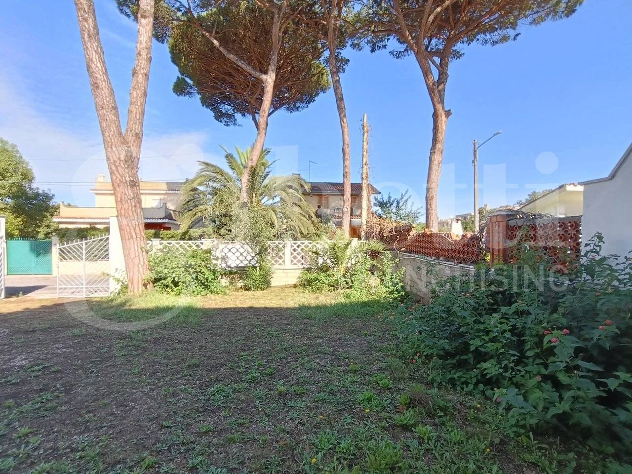 immagine annuncio 11 di 14
