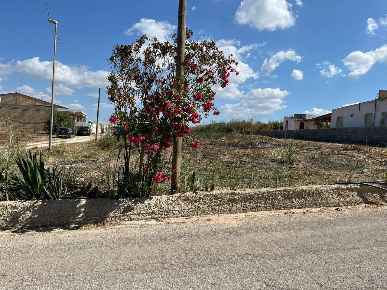 immagine annuncio 10 di 14