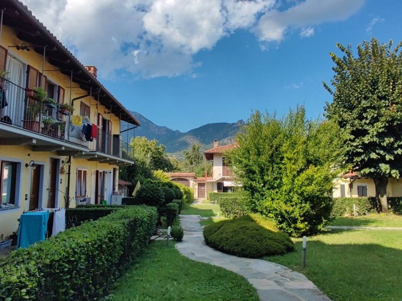 immagine annuncio 2 di 15