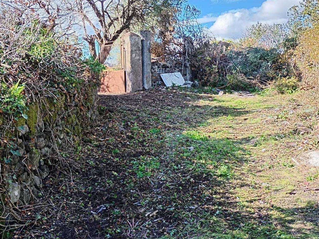 immagine annuncio 8 di 14