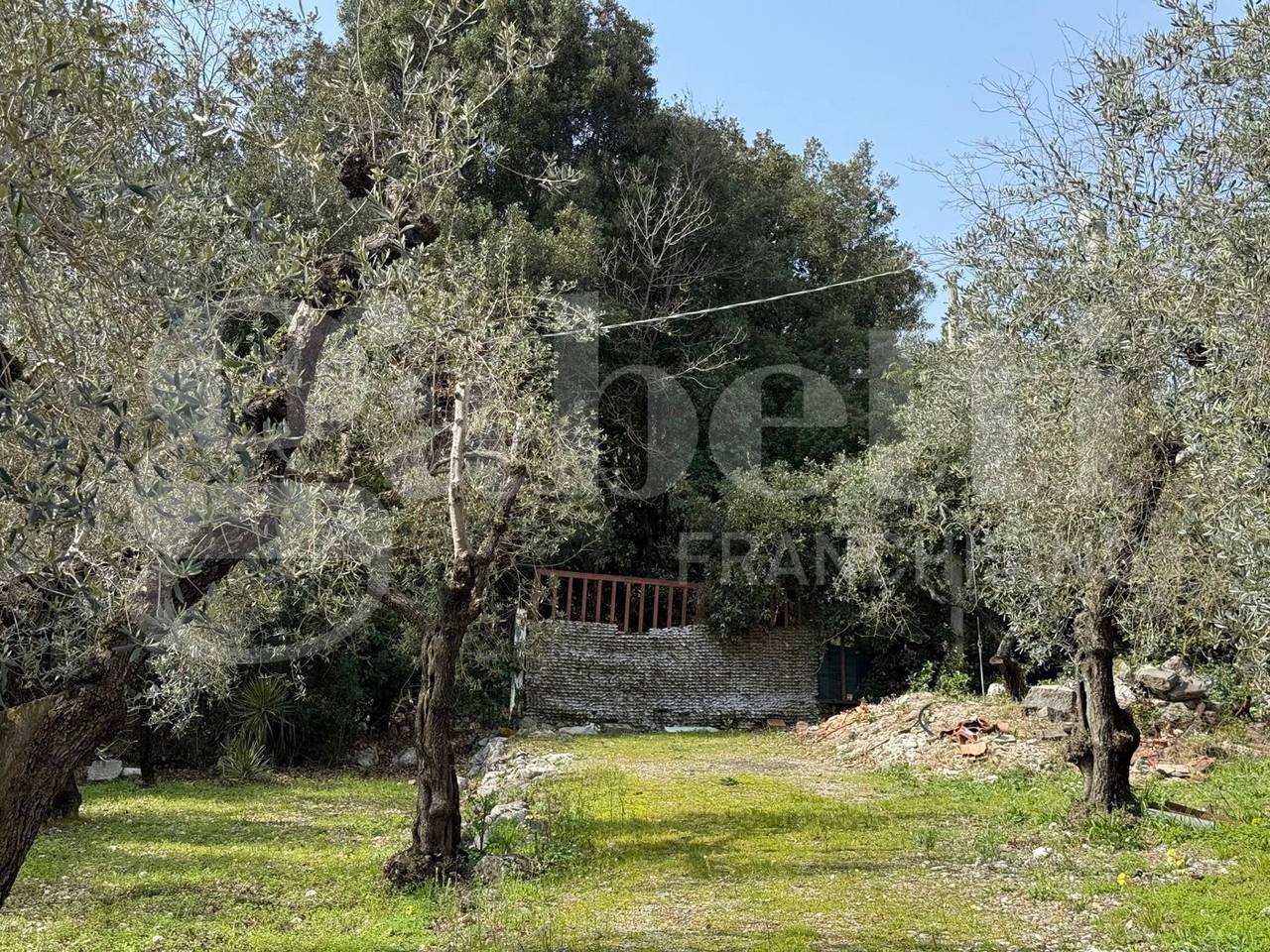 immagine annuncio 13 di 14