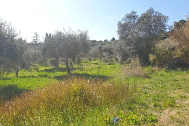 Terreno agricolo in Via del Romitorio 71, Mentana - Foto 1