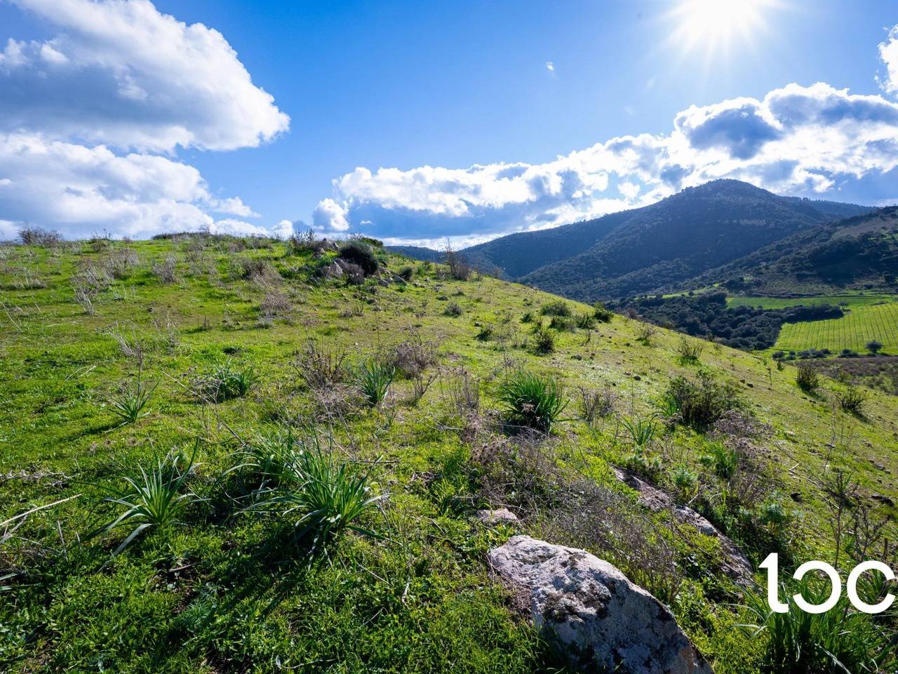 immagine annuncio 2 di 11