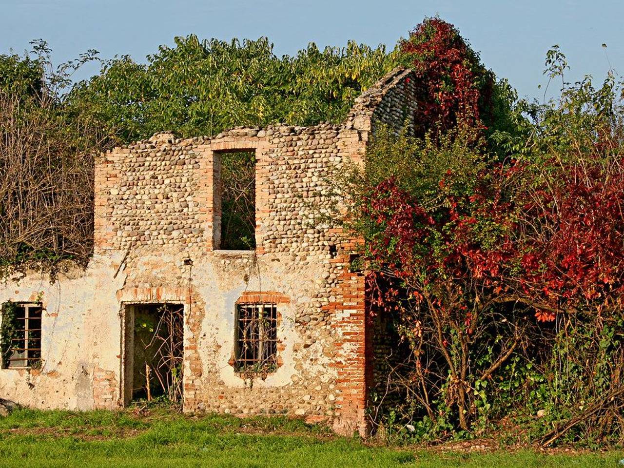 immagine annuncio 1 di 11