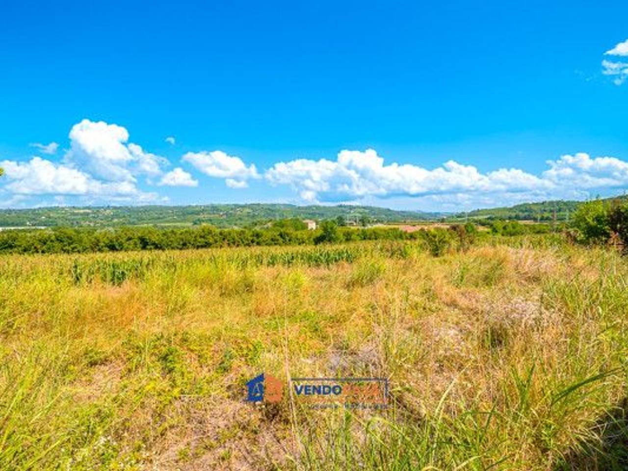 immagine annuncio 10 di 14