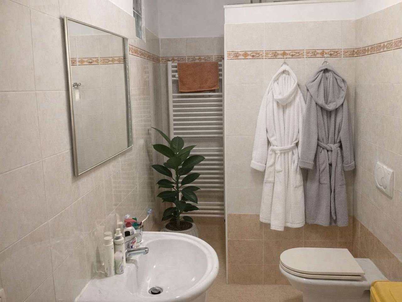 immagine annuncio 4 di 13