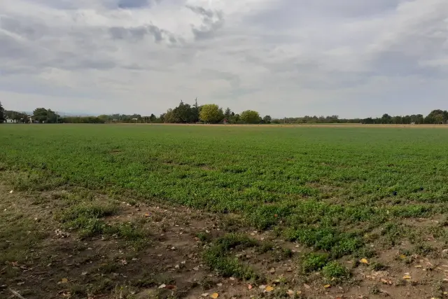 Agricultural land, Valsamoggia - Photo 1