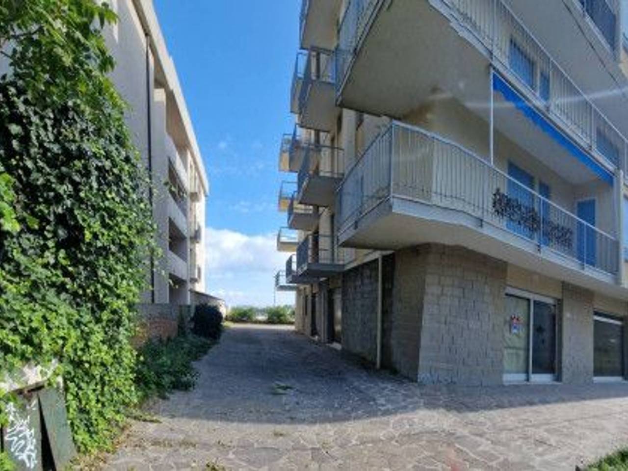 immagine annuncio 14 di 15