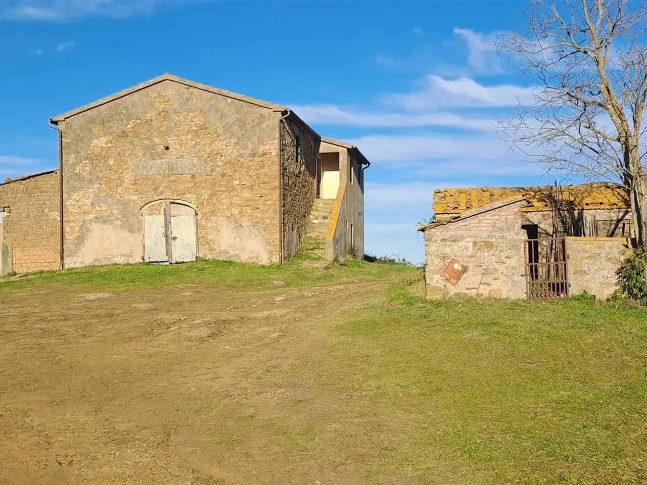 Podere - Tenuta in Scansano, Scansano, {3} - Foto 1