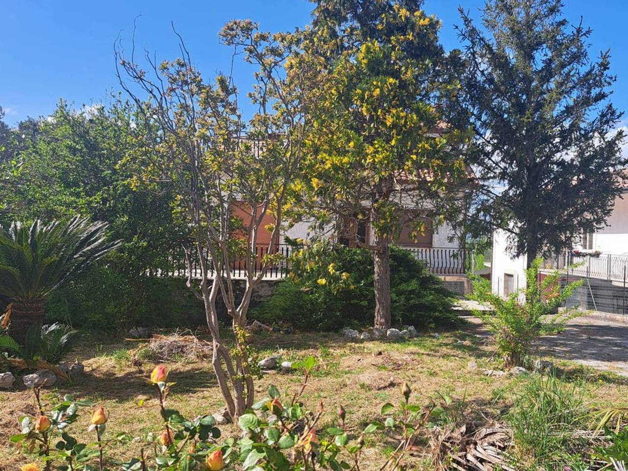 immagine annuncio 6 di 8