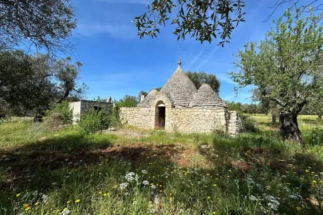 Landhaus in Via Madonna della Grotta, Ceglie Messapica - Foto 1