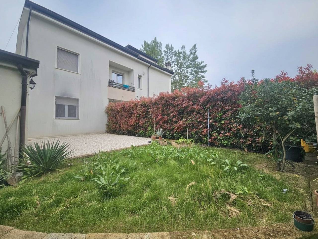 immagine annuncio 5 di 15