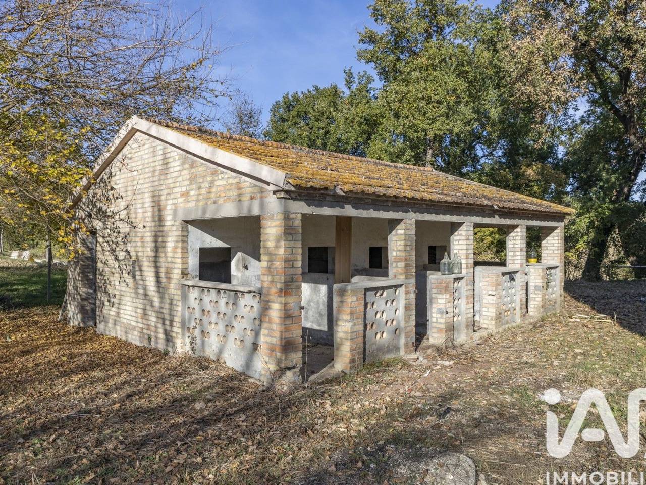 immagine annuncio 8 di 15