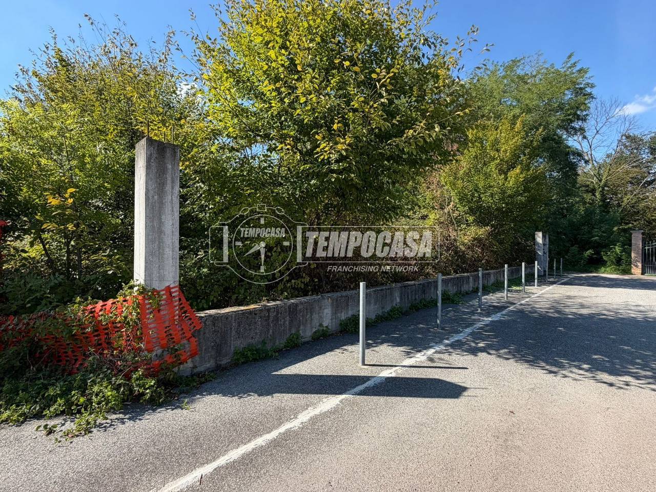 immagine annuncio 7 di 12