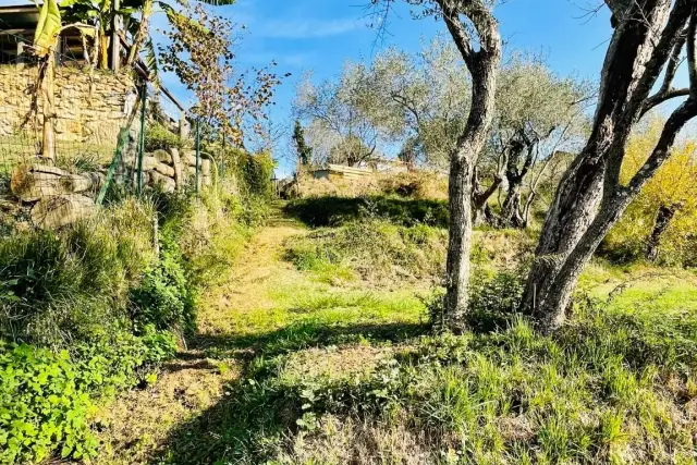 Terreno agricolo in Via Vissano, Arcola - Foto 1