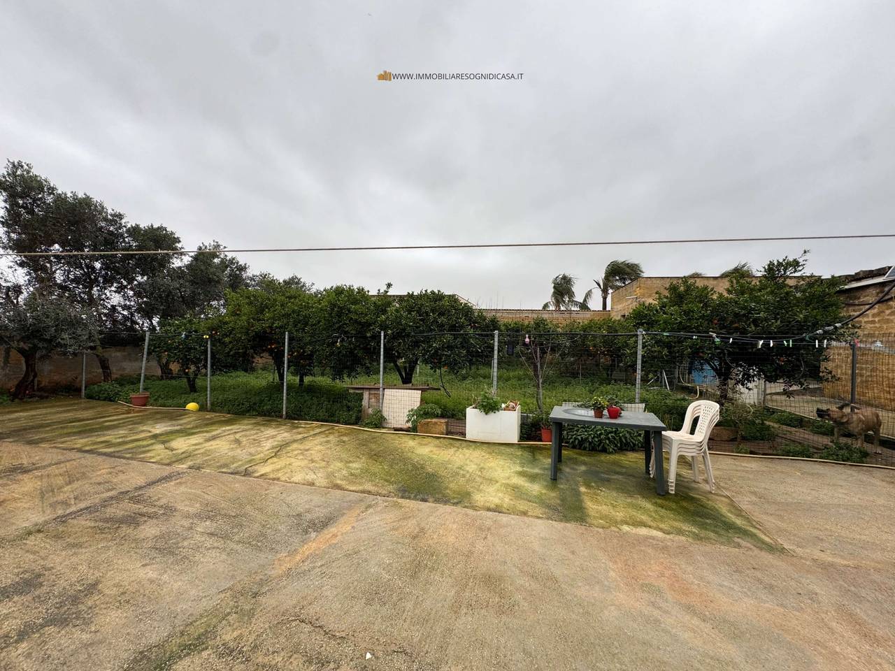 immagine annuncio 10 di 11