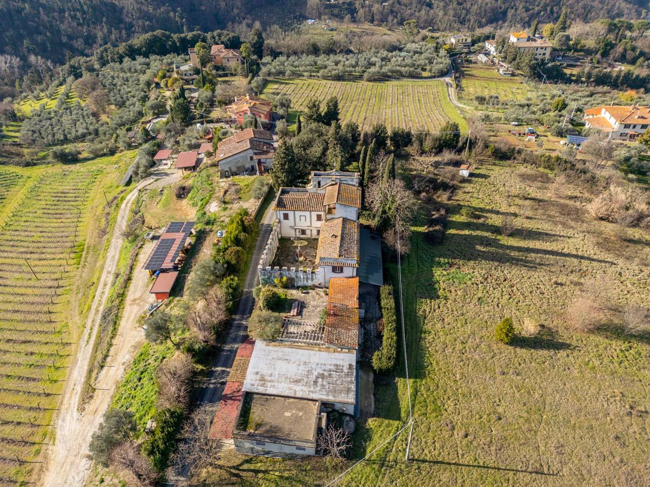 immagine annuncio 9 di 15