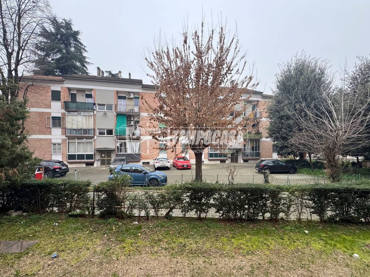 immagine annuncio 11 di 14