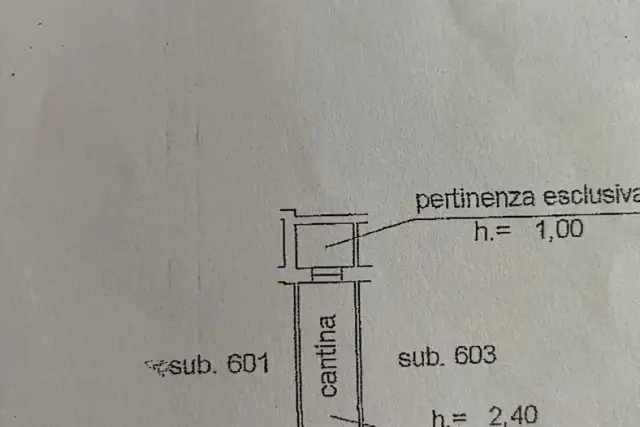 main planimetry real estate image