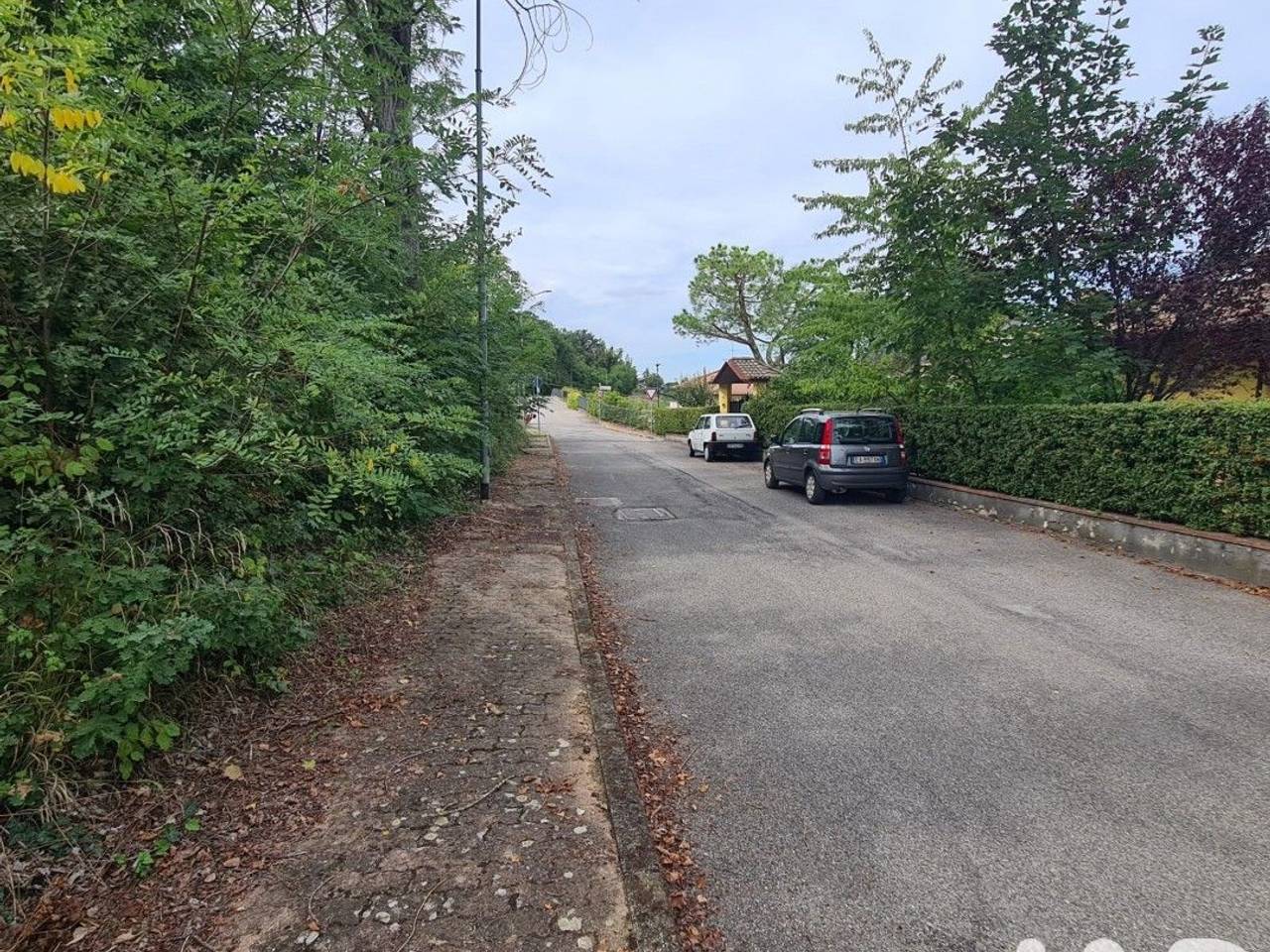 immagine annuncio 3 di 12