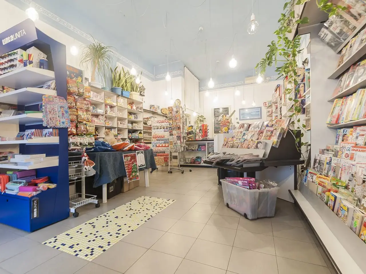 Locale commerciale in , San Vincenzo, {3} - Foto 1