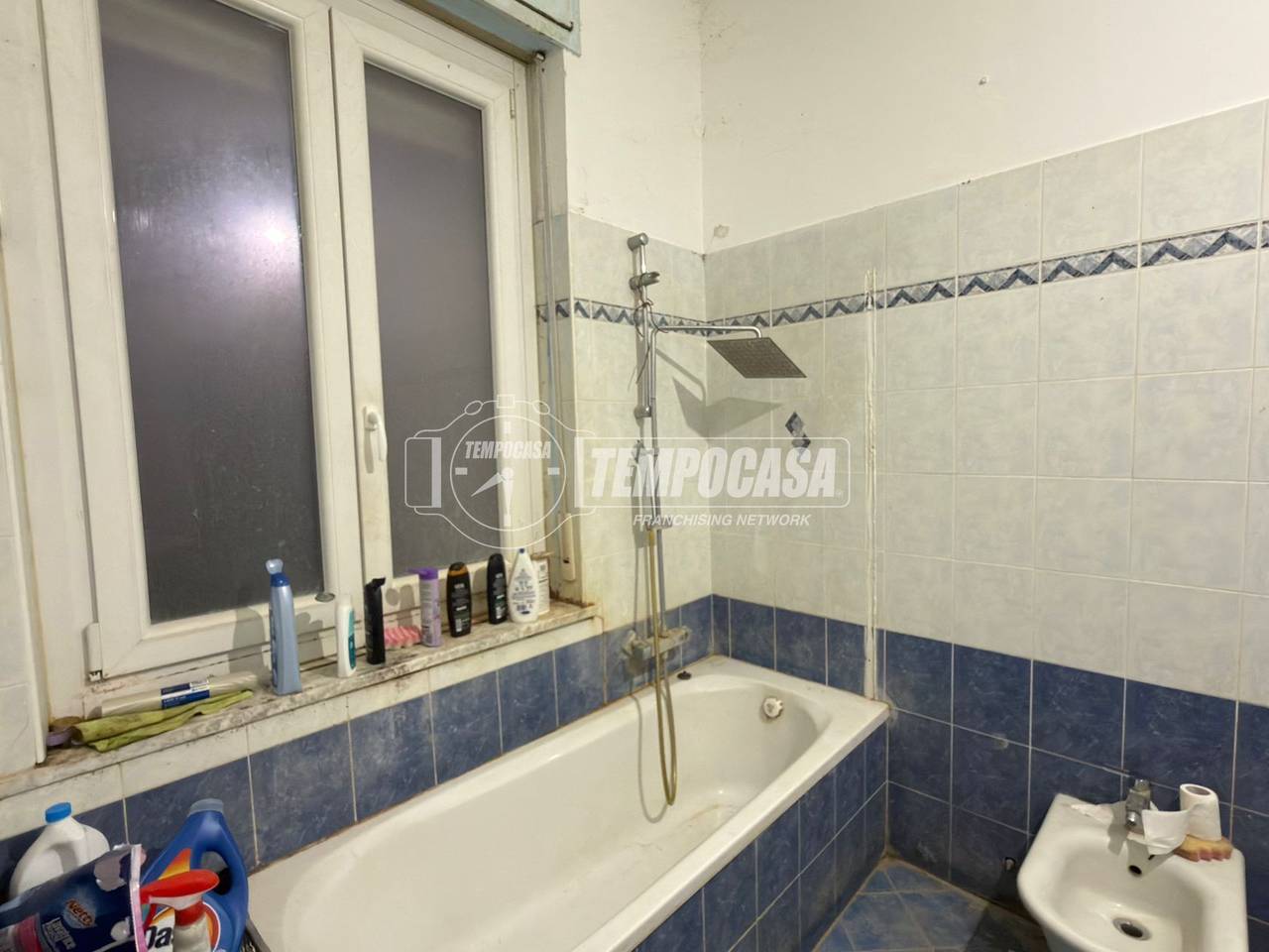 immagine annuncio 11 di 14