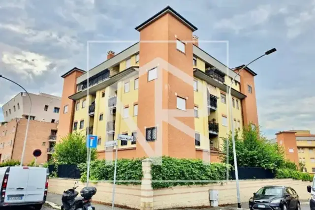 insertion image