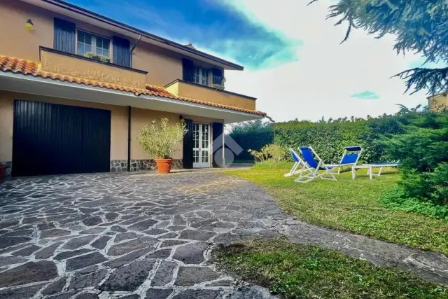 insertion image