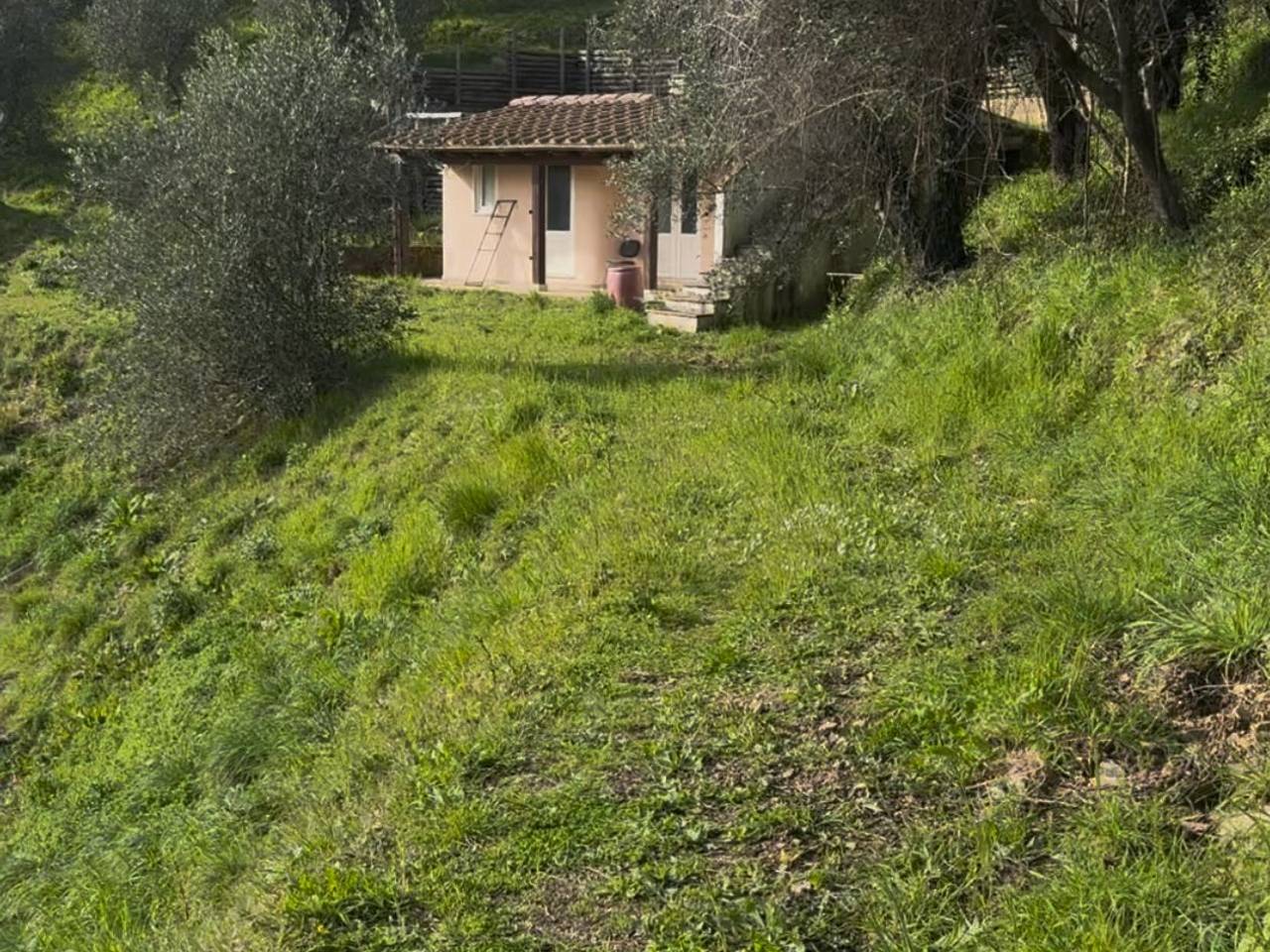 immagine annuncio 9 di 13